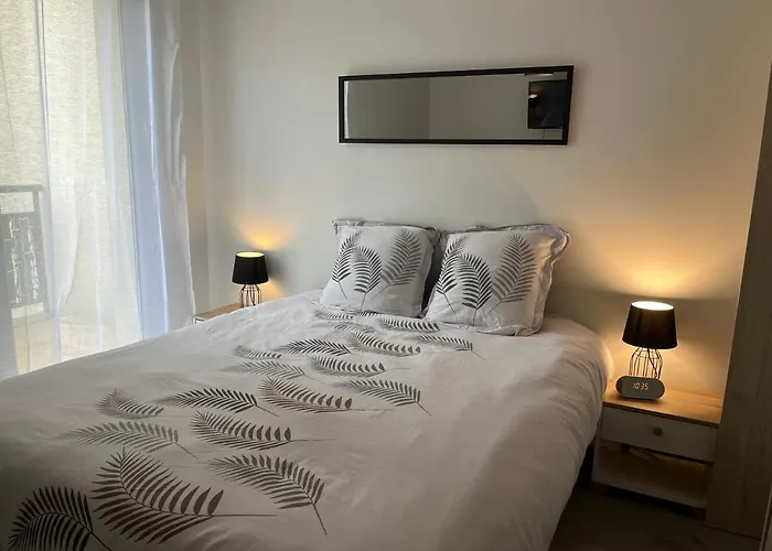 Appartement Calm In - T2 Tours